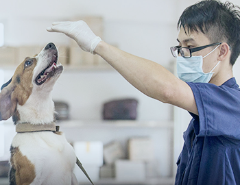 實驗動物研究開發(fā)中心